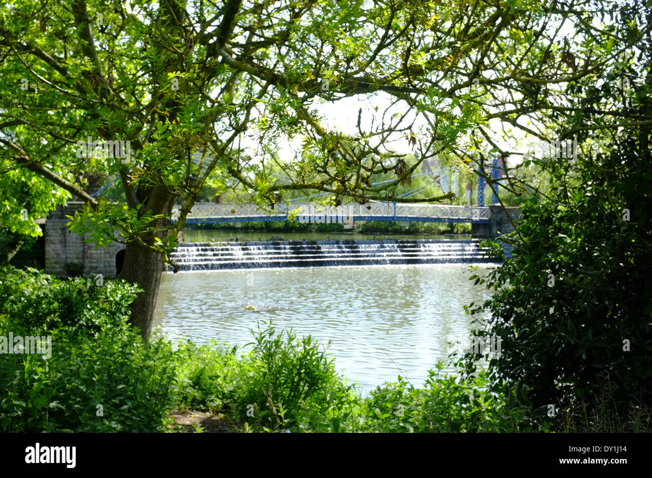 Il ponte di sospensione dal Jephson gardens, Leamington Spa Foto Stock