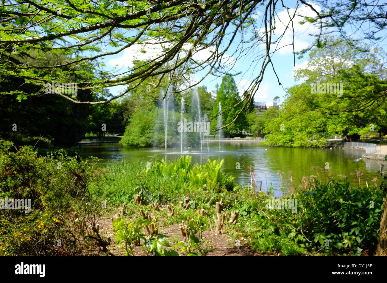 Jephson gardens, Leamington Spa Foto Stock