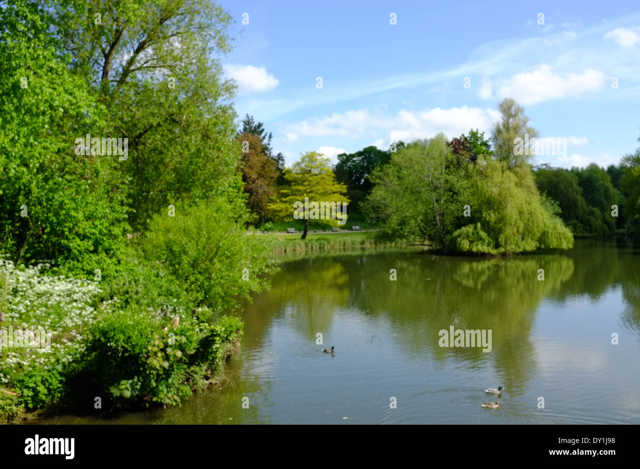 Il fiume apprendere Jephson gardens, Leamington Spa Foto Stock