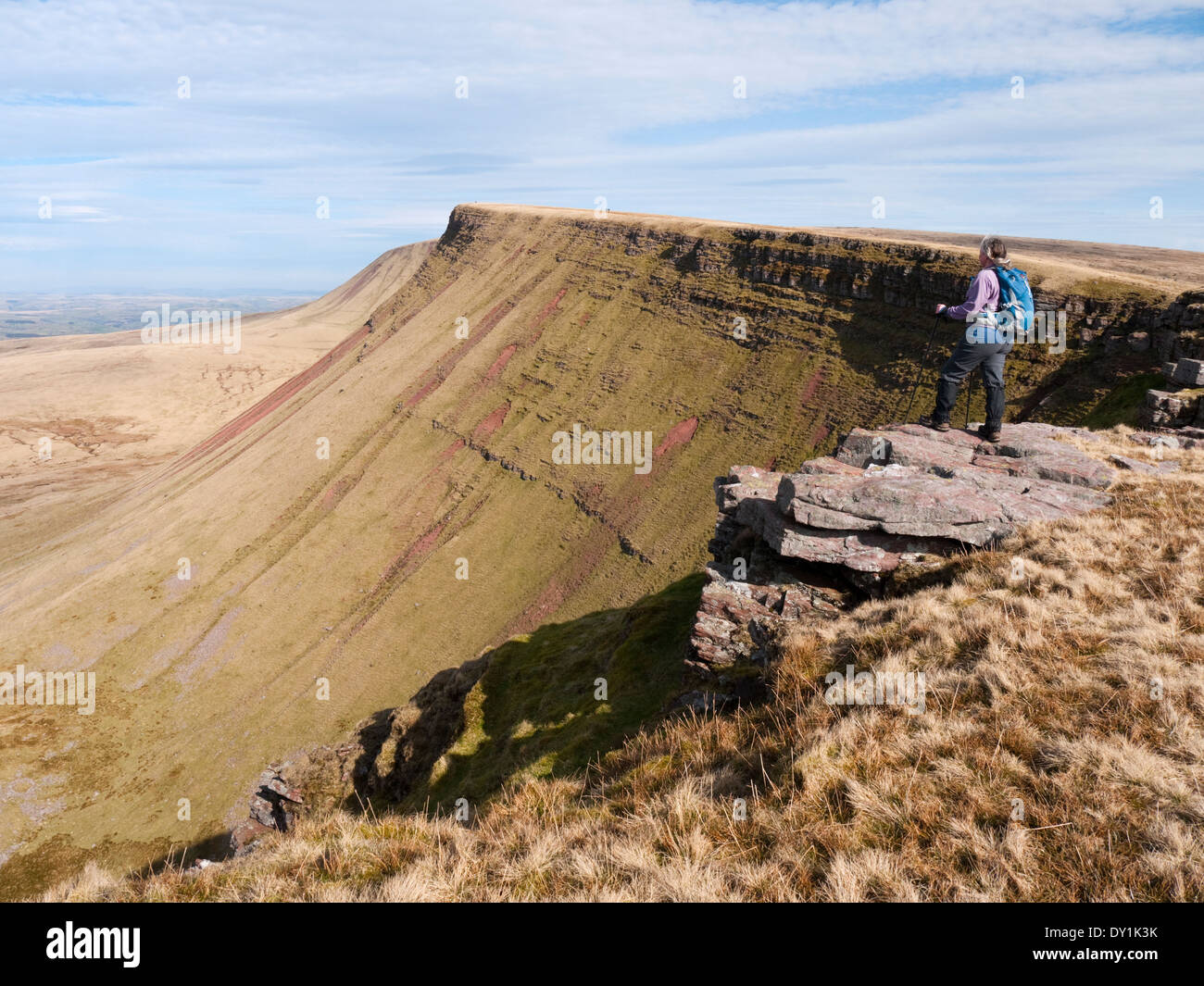 Femmina walker hill godendo la vista lungo Bannau Sir Gaer a Picws Du, sulla montagna nera (Carmarthen ventola), Brecon Beacons. Foto Stock