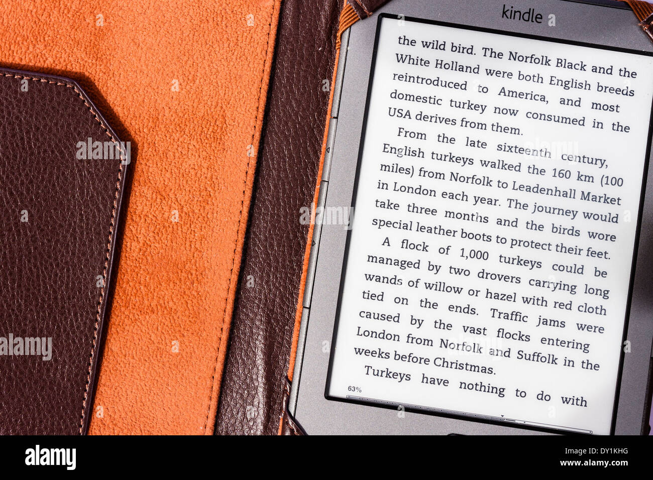 La quarta generazione di Amazon Kindle lettore del libro elettronico in una imitazione di protezione custodia in pelle. Foto Stock