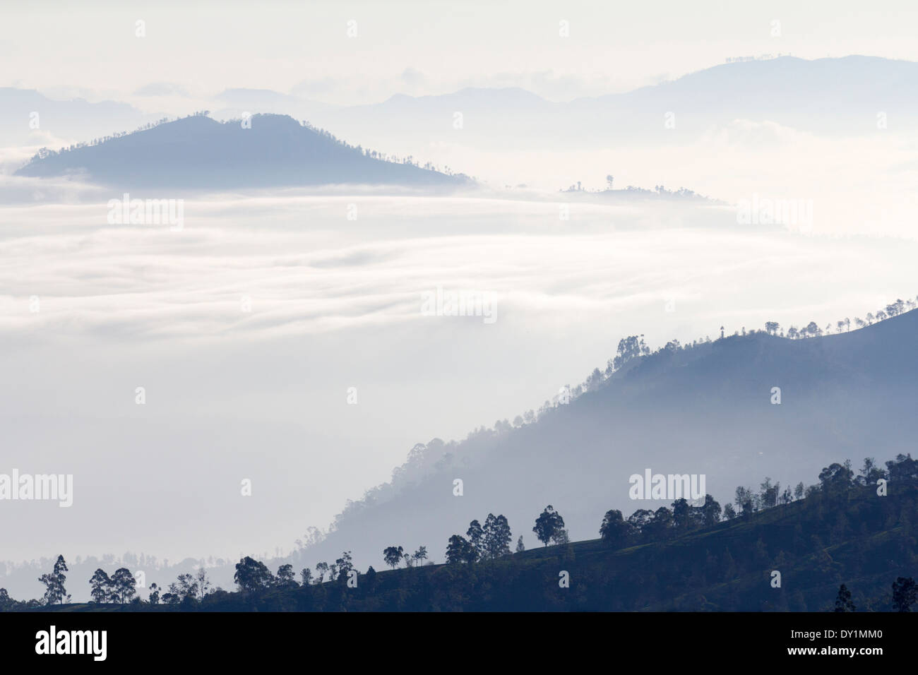 Maestosa la mattina presto il cloud mare in Sri Lanka Highlands, visto da Nuwara Eliya 5 Foto Stock