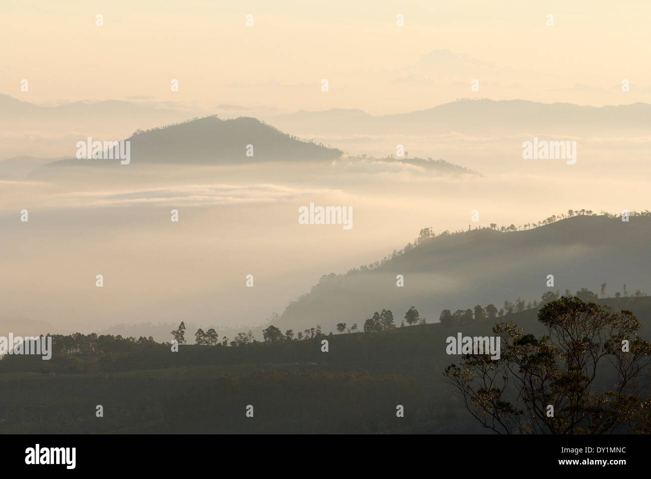 Maestosa la mattina presto il cloud mare in Sri Lanka Highlands, visto da Nuwara Eliya Foto Stock