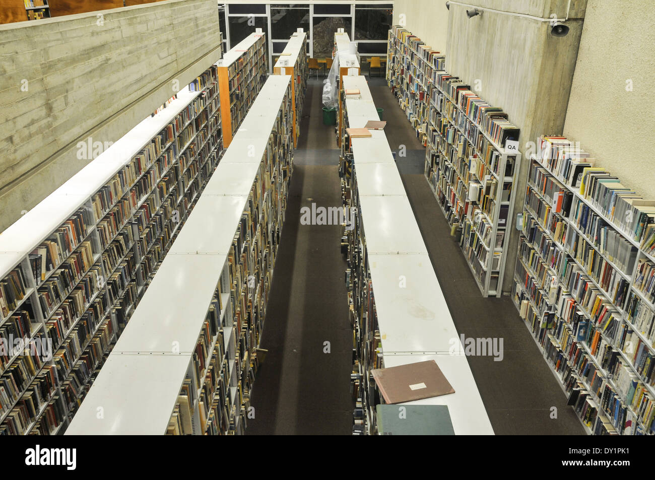 I libri in una libreria Foto Stock
