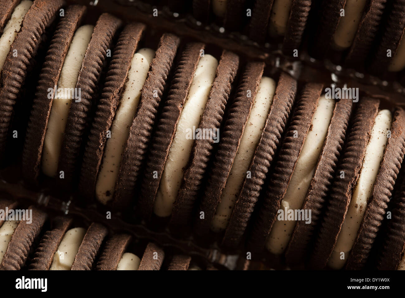 Malsana biscotti al cioccolato con crema vaniglia il riempimento Foto Stock