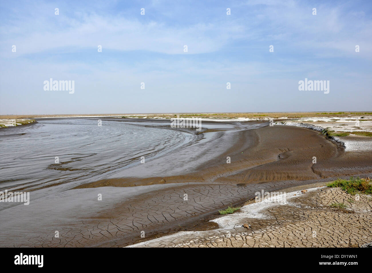 India, Gujarat, deserto Lothal circostante Foto Stock