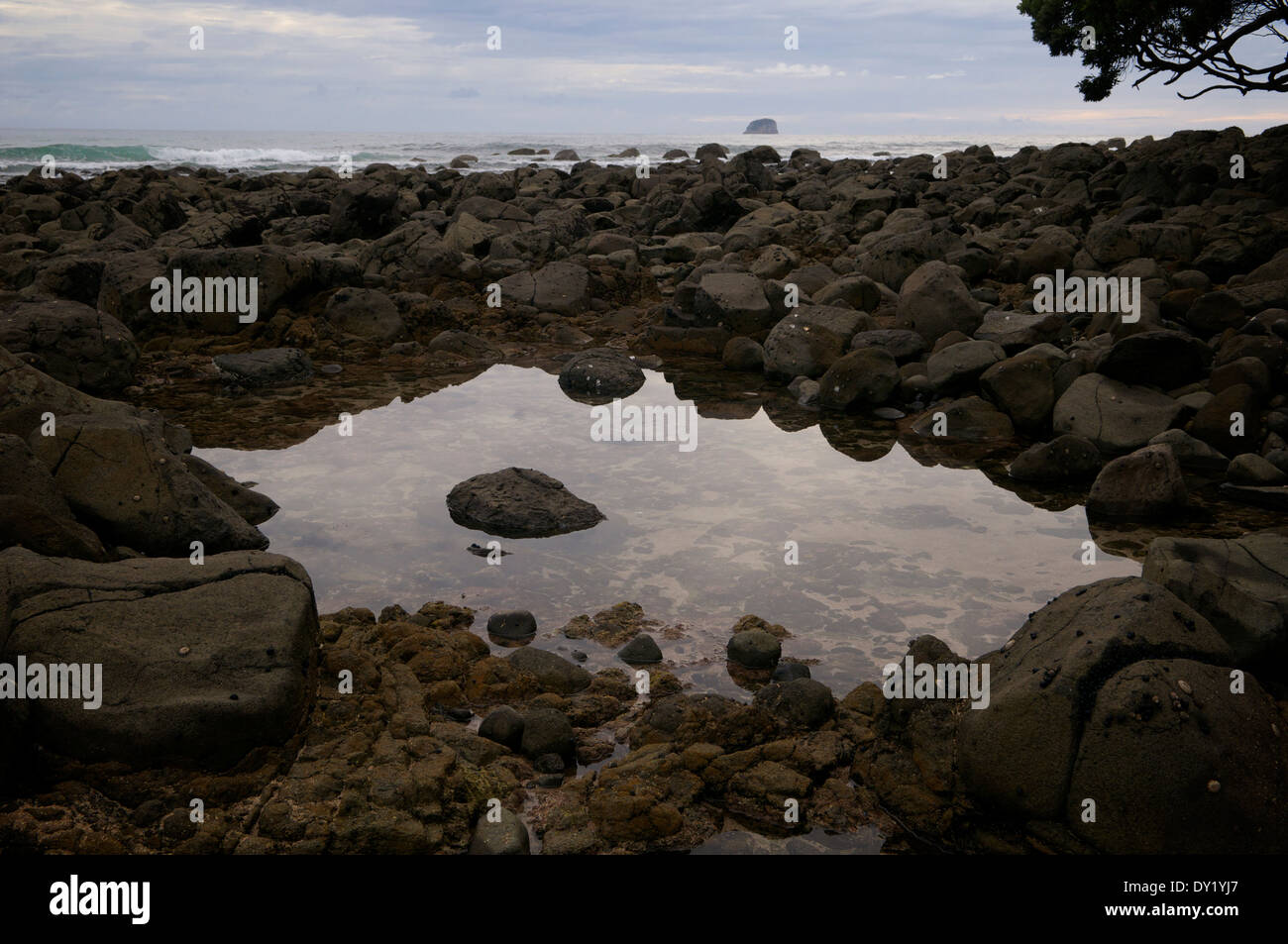 Il cielo si riflette in un pool di marea a spiaggia dell' acqua calda sulla Penisola di Coromandel in Nuova Zelanda. Foto Stock