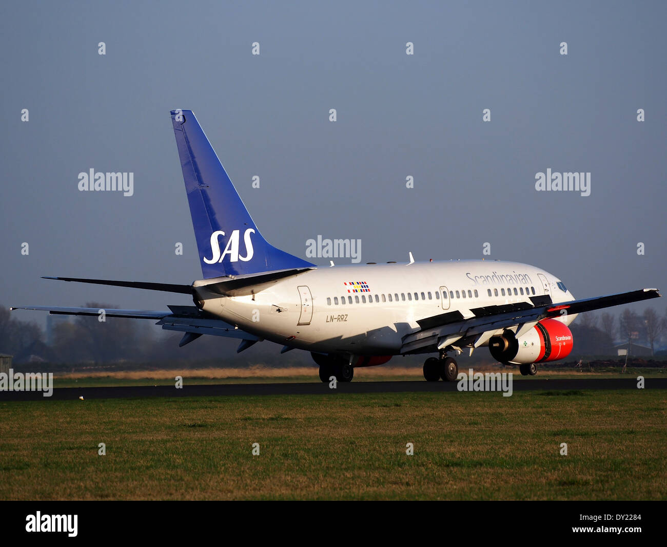 Il Boeing 737-683 LN-RRZ, gestito dalla Scandinavian Airlines (SAS), viene catturato presso l'aeroporto Schiphol di Amsterdam (AMS). Questo aereo fa parte della flotta regionale di SAS per voli a corto raggio. Foto Stock