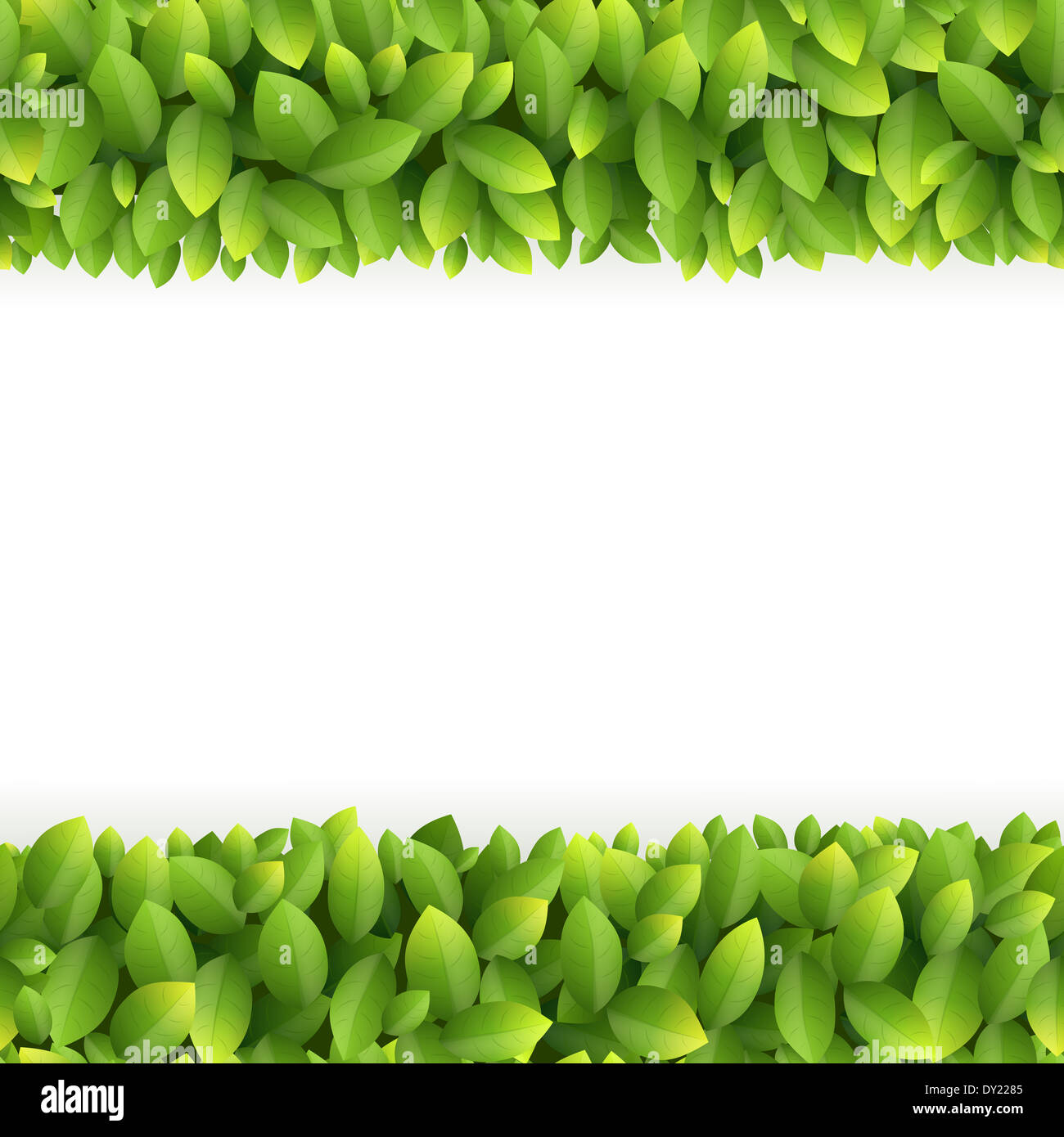 Foglie verdi telaio Foto Stock