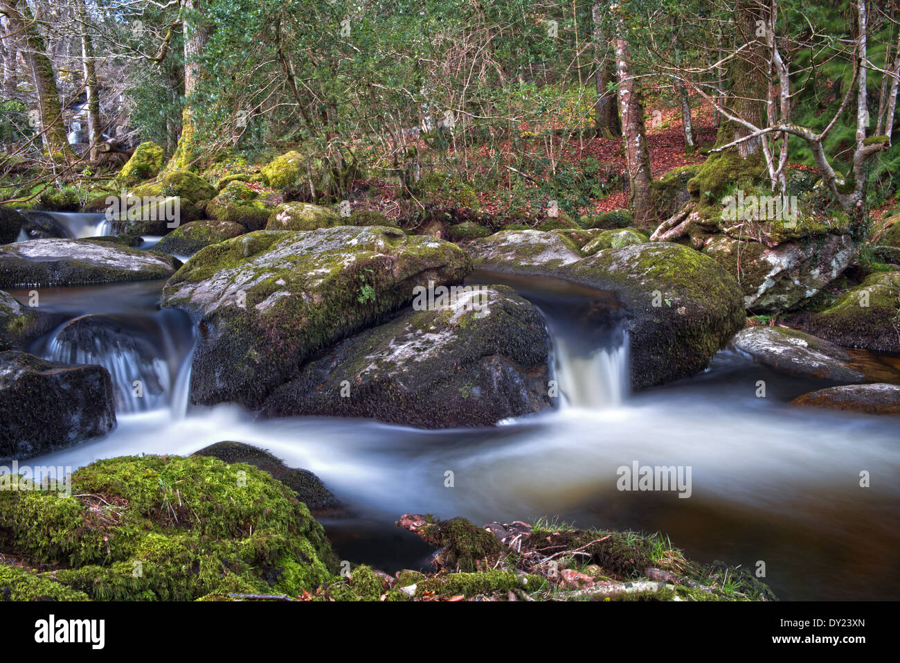 Becky Falls Woodland Park e il sentiero natura, ( Becka scende), Manaton, Newton Abbott, Parco Nazionale di Dartmoor, Devon, Inghilterra, Regno Unito Foto Stock