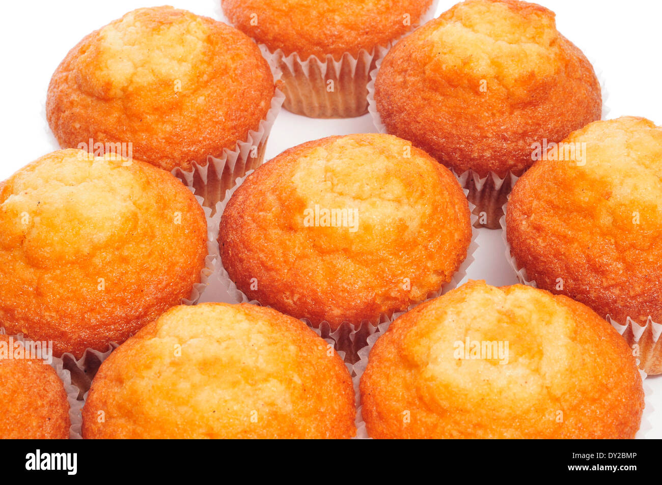 Alcuni magdalenas tipica spagnola plain muffin, su sfondo bianco Foto Stock