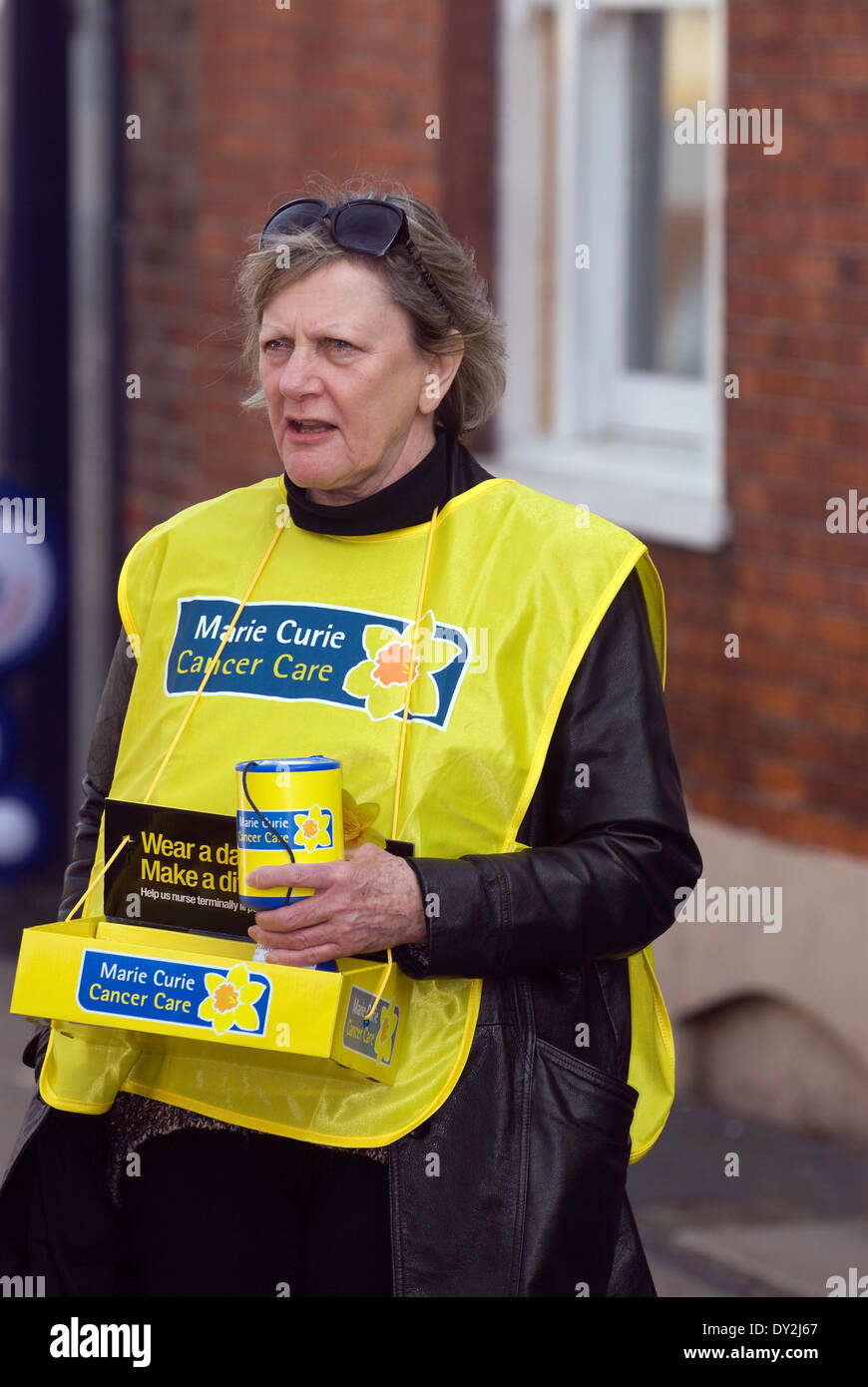 La donna la raccolta di fondi per le borse Marie Curie per la cura del cancro di carità, high street, Alton, HAMPSHIRE, Regno Unito. Foto Stock