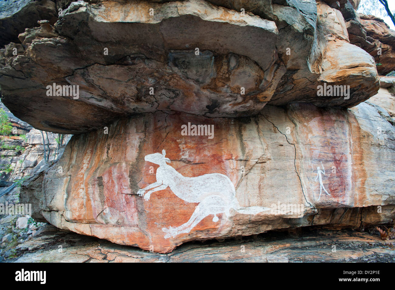 Arte rupestre, Warddeken indigeni Area Protetta, Australia Foto Stock