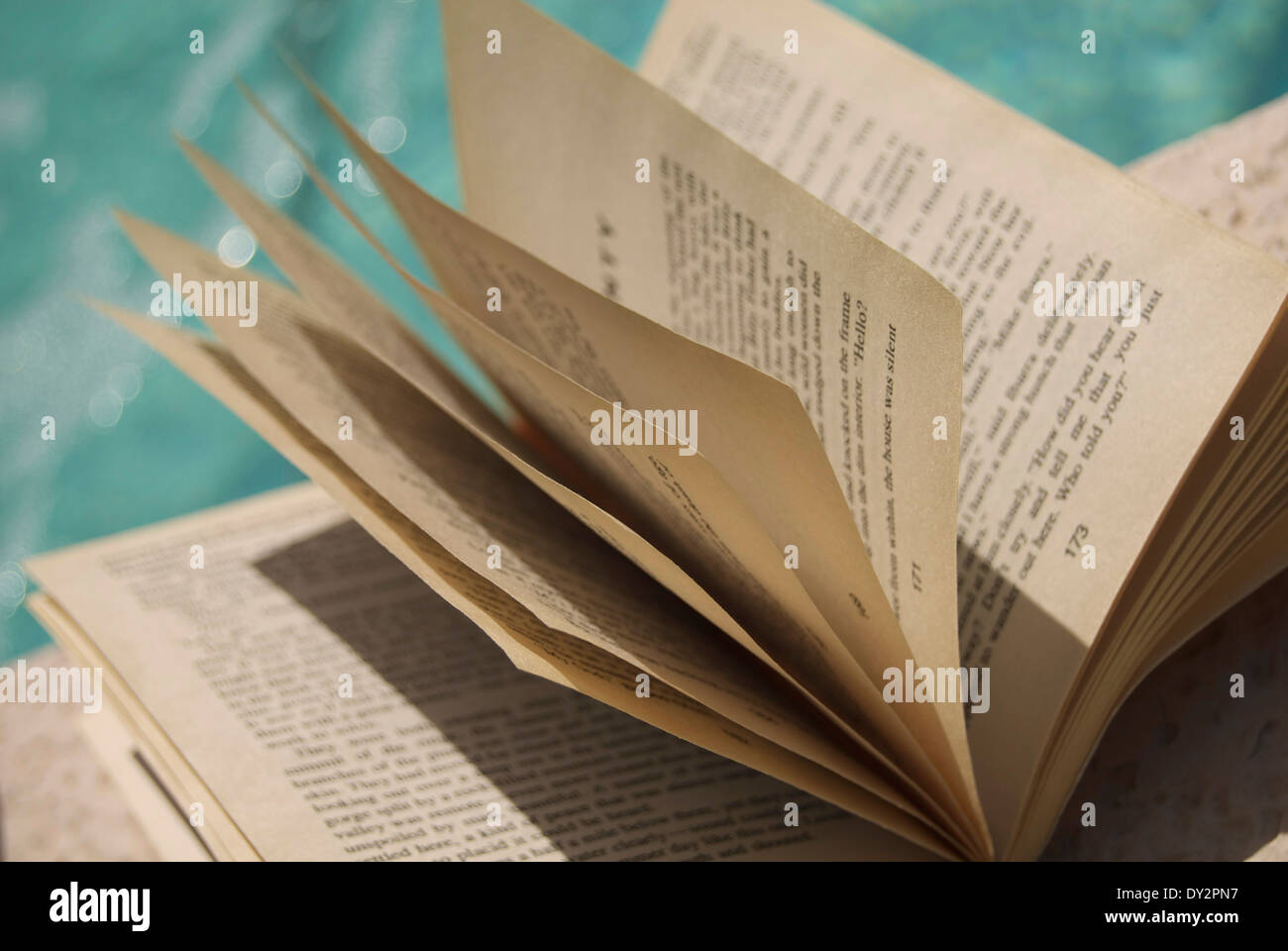 La lettura di libro in brossura pagine Foto Stock