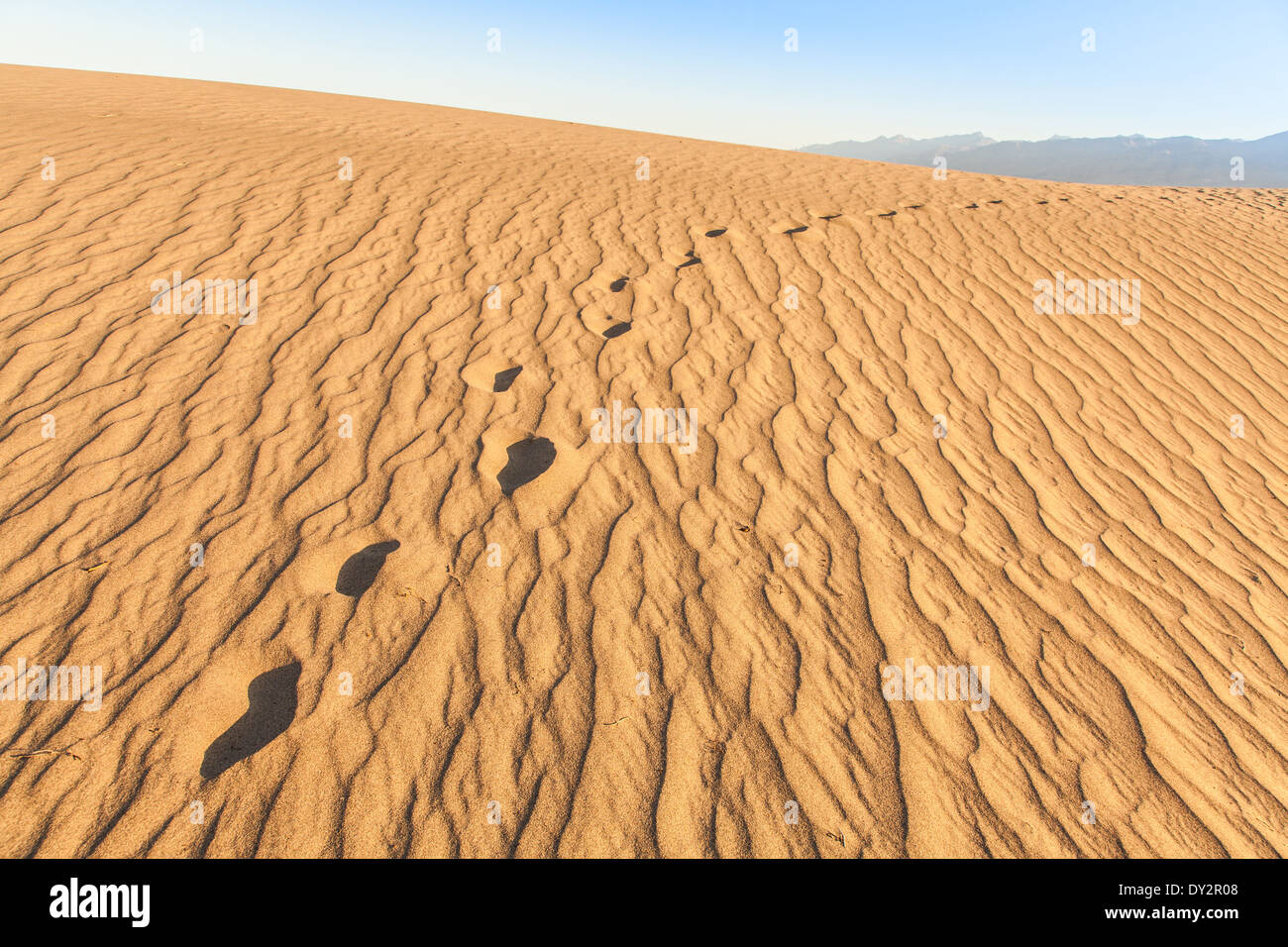 Le dune di sabbia di Mesquite piatto nella Valle della Morte nel deserto - California Foto Stock