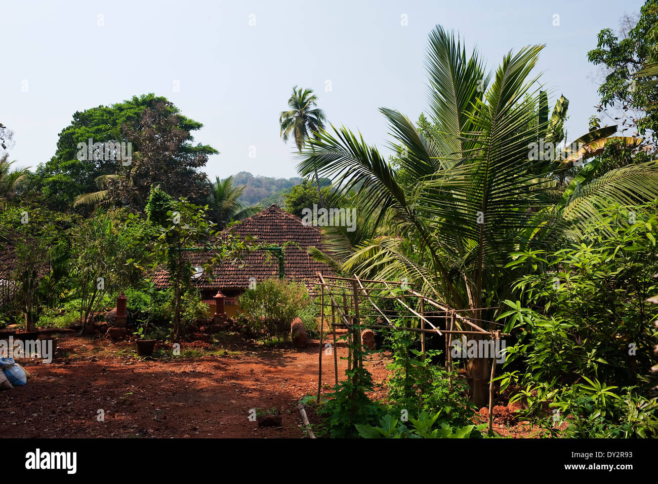 Tegole del tetto di casa di Goan e telaio di arrampicata per le piante Foto Stock