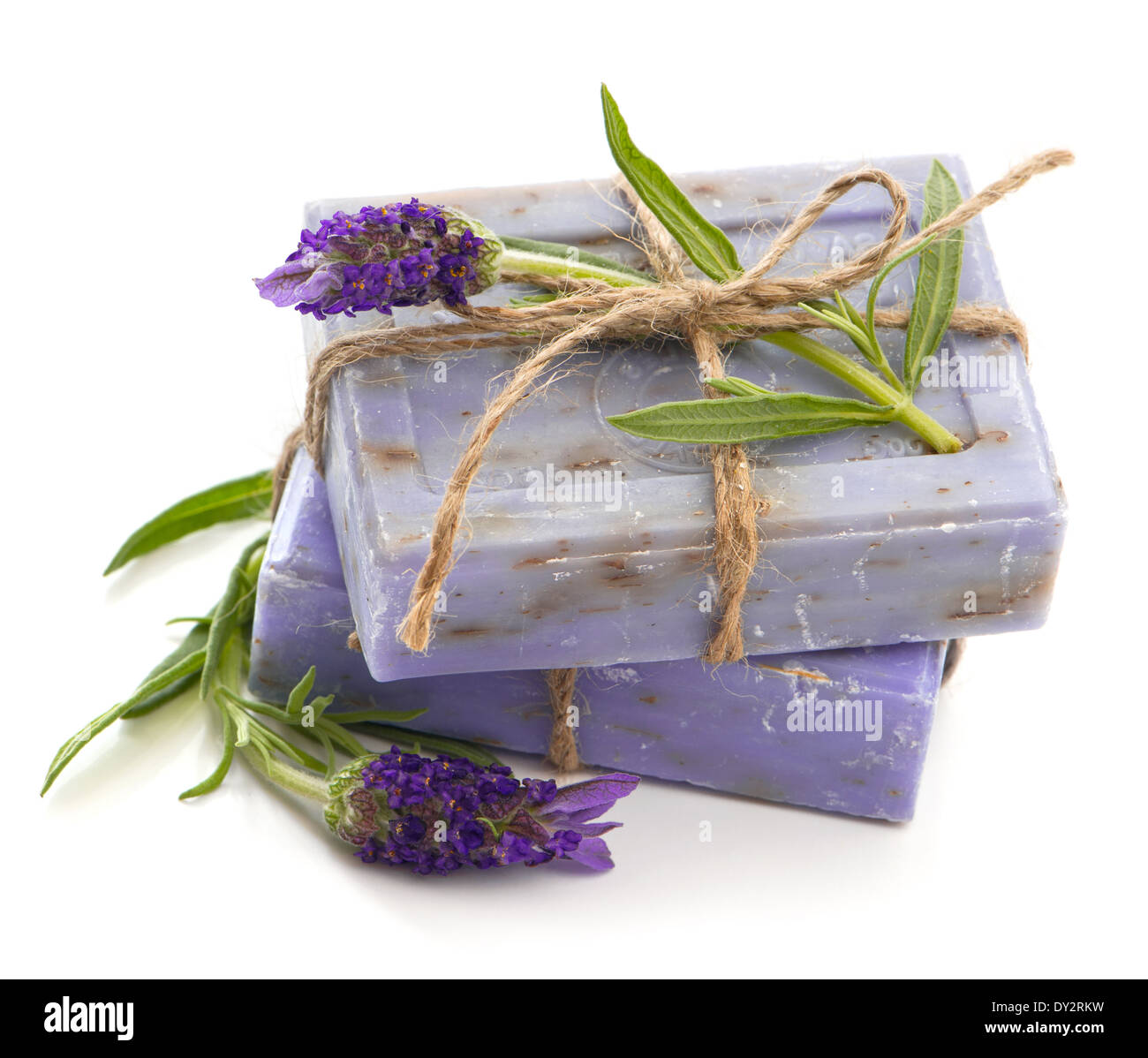 Primo piano della lavanda saponette con fiori freschi isolati su sfondo bianco Foto Stock