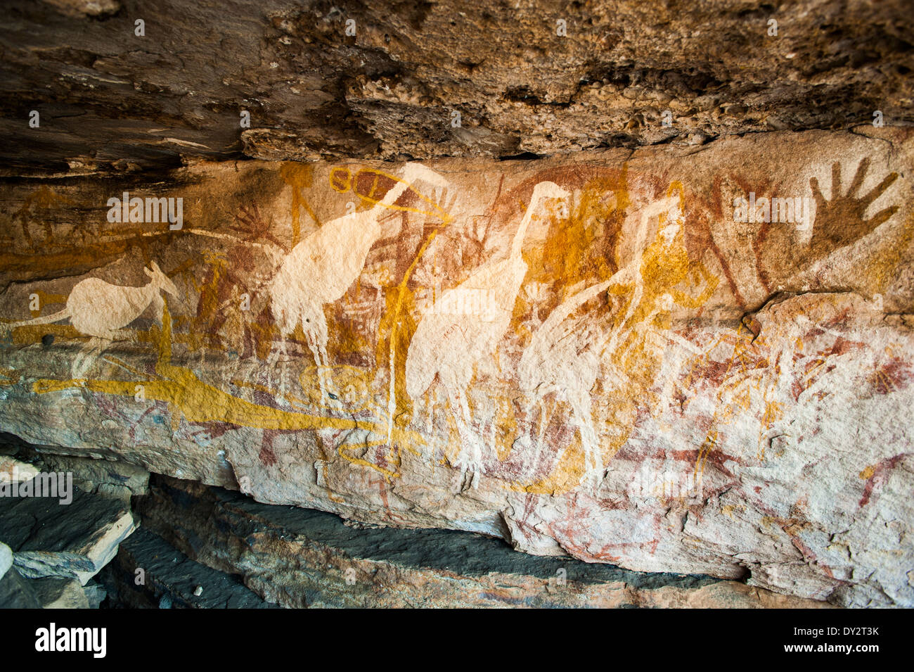 Arte rupestre, Warddeken indigeni Area Protetta, Australia Foto Stock