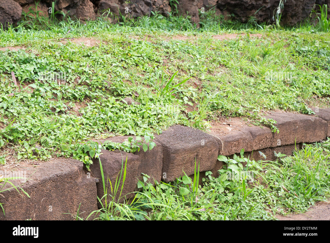 Menehune Ditch, un vecchio sistema di irrigazione costruito con blocchi di basalto in pietra alle Hawaii Foto Stock