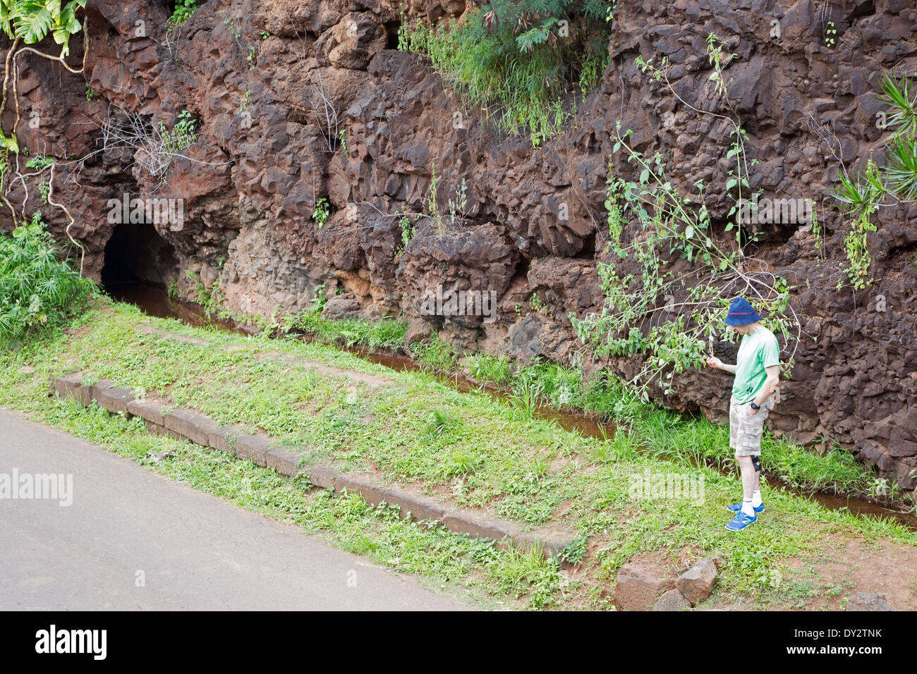 Turismo fotografare Menehune fossato muro, un antico sistema di irrigazione costruito di blocchi di pietra basaltica a Waimea, Kauai, Hawaii Foto Stock