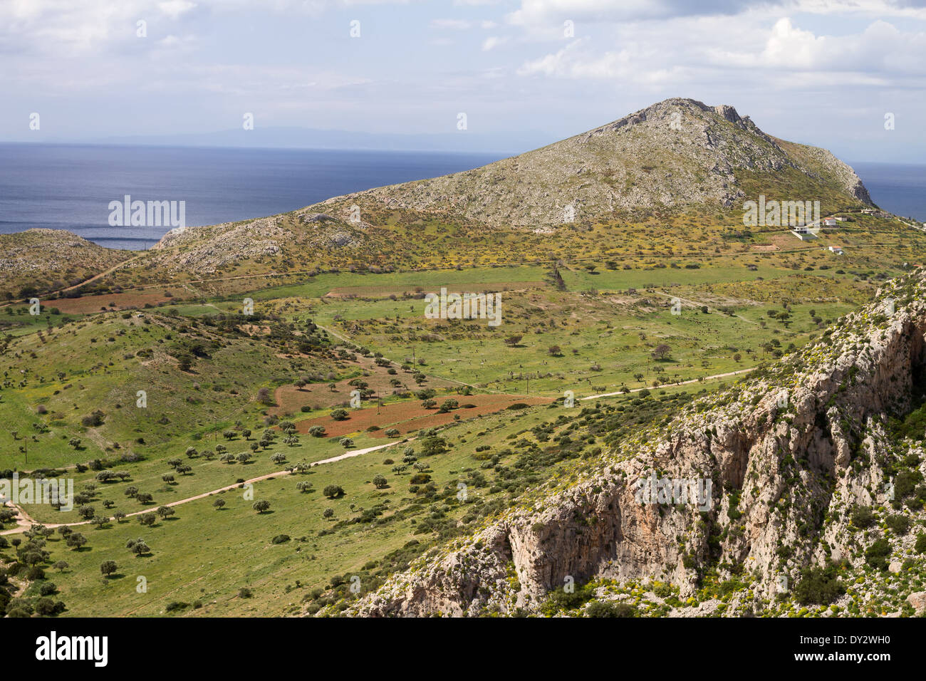 Un tipico paesaggio mediterraneo nella regione dell'Attica, vicino ad Atene, Grecia Foto Stock