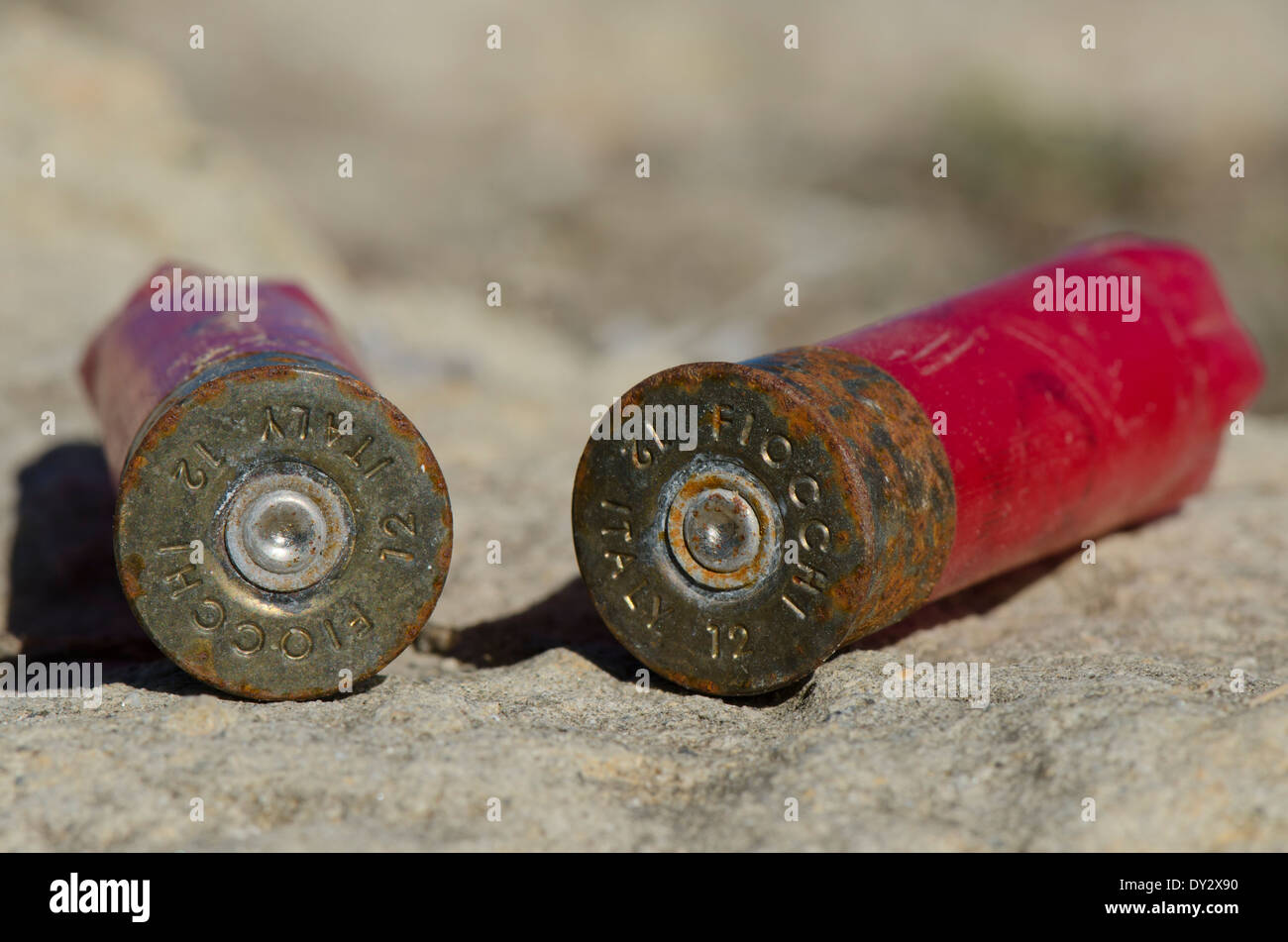 Svuotare i serbatoi shotgun munizioni lasciati da cacciatori in campagna, Spagna. Foto Stock