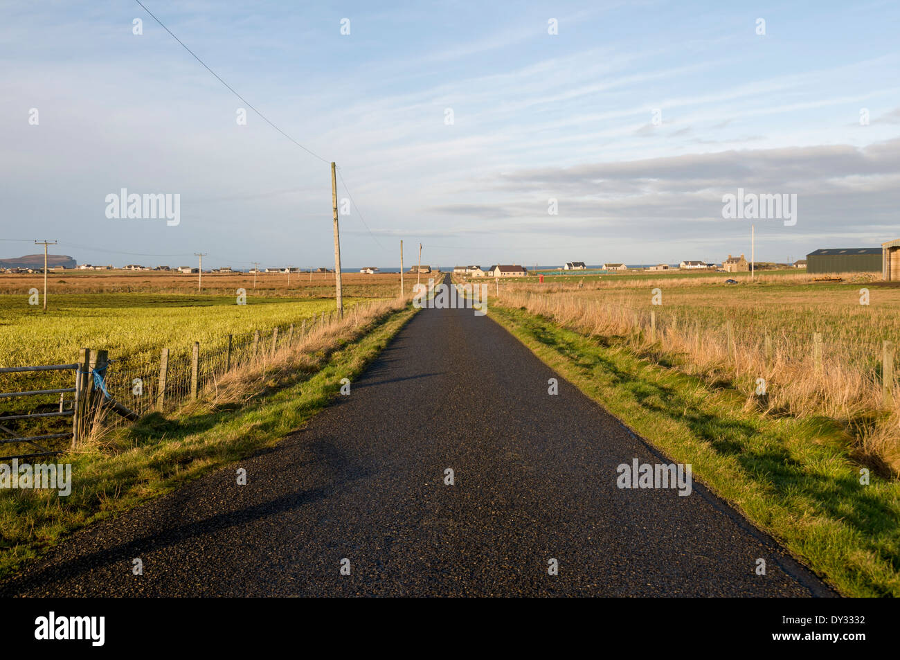 La lunga e dritta strada vicino a Skarfskerry, Caithness in Scozia, Regno Unito Foto Stock