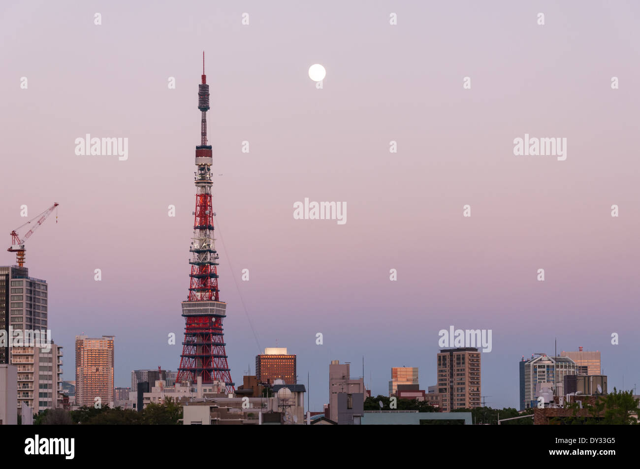 La Torre di Tokyo al tramonto. Foto Stock