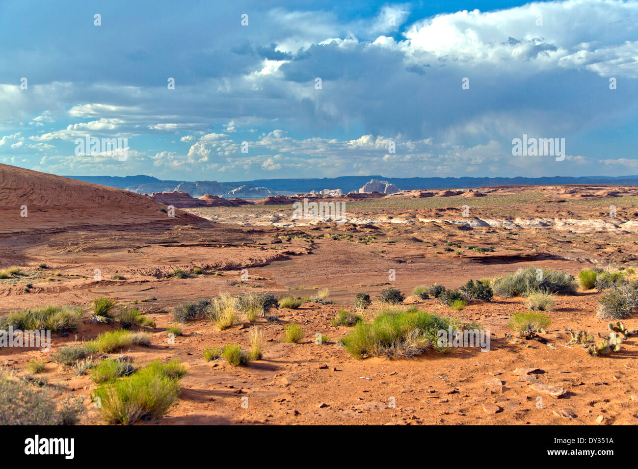 Un bel paesaggio del deserto e sullo sfondo le colline blu Foto Stock