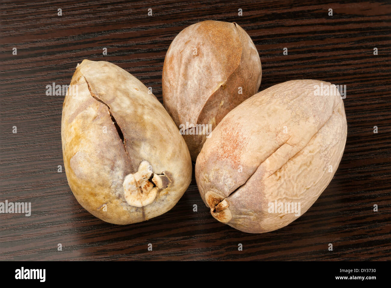 Vista dettagliata del secco i kernel di avocado Foto Stock