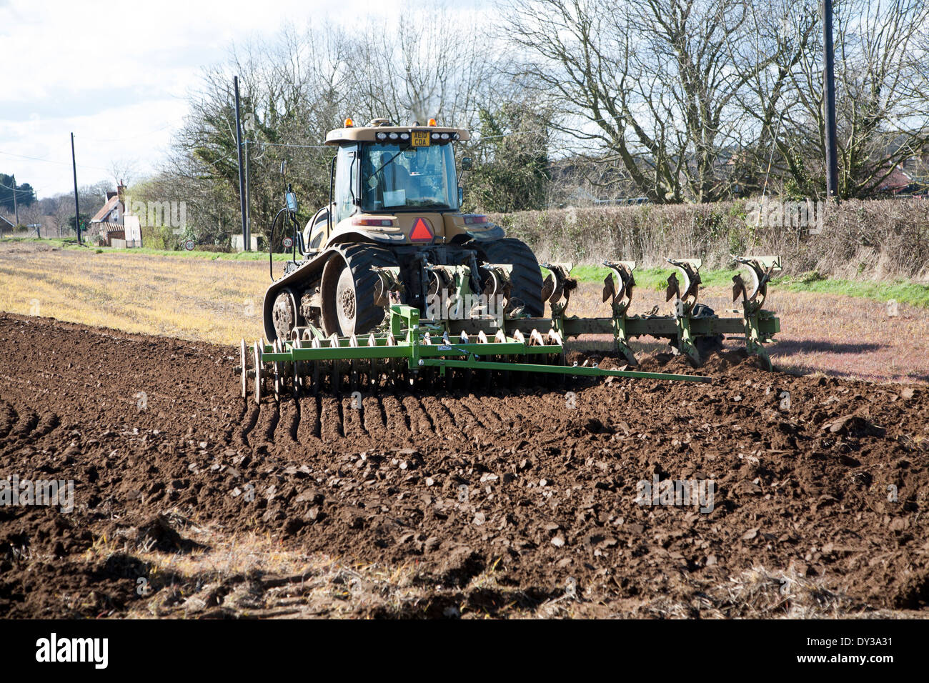 Trattore cingolato Challenger aratura e premendo il terreno in un campo arabile, Butley, Suffolk, Inghilterra Foto Stock
