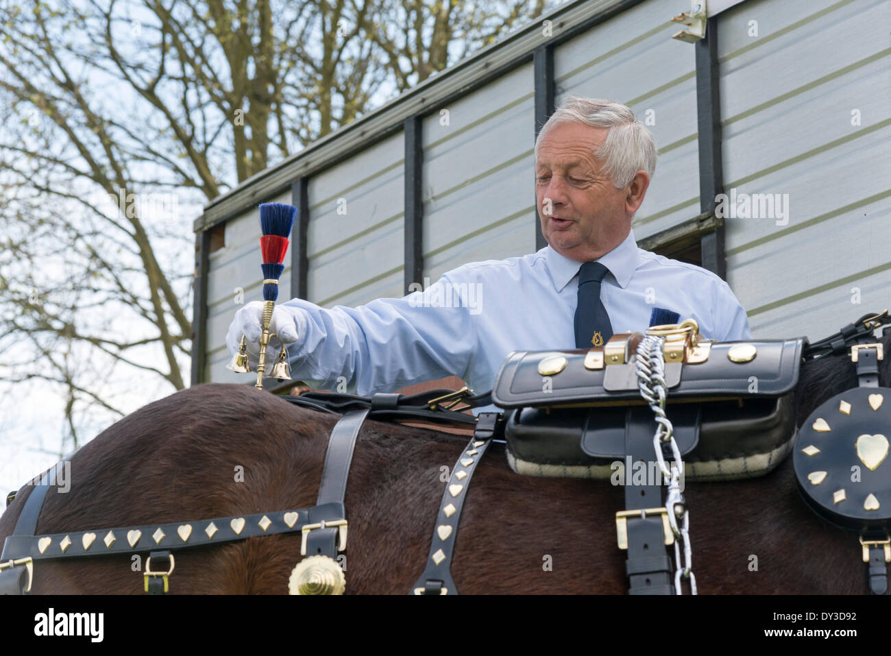 Thriplow, Cambridgeshire, Regno Unito. 5 aprile 2014. Robbie Shire cavallo è preparato per azione come migliaia di persone godono di sole primaverile al Thriplow Daffodil Weekend in Cambridgeshire Regno Unito 5 aprile 2014. Ogni anno tra 7000-10000 persone frequentano il villaggio evento per vedere visualizza dei narcisi, visitando i residenti giardini aperti, craft fienili, chioschi, Morris dancing, paese dimostrazioni di artigianato, pesanti cavalli e fiera del divertimento escursioni. Le strade sono chiuse al traffico consentendo ai visitatori di passeggiare al grazioso villaggio corsie in una celebrazione della primavera. Credito: Julian Eales/Alamy Live News Foto Stock Thriplow, Cambridgeshire, Regno Unito. 5 aprile 2014. Robbie Shire cavallo è preparato per azione come migliaia di persone godono di sole primaverile al Thriplow Daffodil Weekend in Cambridgeshire Regno Unito 5 aprile 2014. Ogni anno tra 7000-10000 persone frequentano il villaggio evento per vedere visualizza dei narcisi, visitando i residenti giardini aperti, craft fienili, chioschi, Morris dancing, paese dimostrazioni di artigianato, pesanti cavalli e fiera del divertimento escursioni. Le strade sono chiuse al traffico consentendo ai visitatori di passeggiare al grazioso villaggio corsie in una celebrazione della primavera. Credito: Julian Eales/Alamy Live News Foto Stock