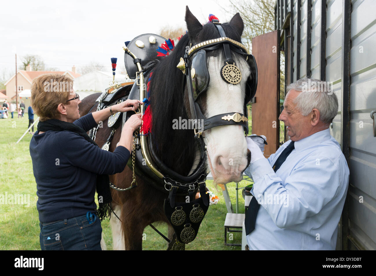 Thriplow, Cambridgeshire, Regno Unito. 5 aprile 2014. Robbie Shire cavallo è preparato per azione come migliaia di persone godono di sole primaverile al Thriplow Daffodil Weekend in Cambridgeshire Regno Unito 5 aprile 2014. Ogni anno tra 7000-10000 persone frequentano il villaggio evento per vedere visualizza dei narcisi, visitando i residenti giardini aperti, craft fienili, chioschi, Morris dancing, paese dimostrazioni di artigianato, pesanti cavalli e fiera del divertimento escursioni. Le strade sono chiuse al traffico consentendo ai visitatori di passeggiare al grazioso villaggio corsie in una celebrazione della primavera. Credito: Julian Eales/Alamy Live News Foto Stock Thriplow, Cambridgeshire, Regno Unito. 5 aprile 2014. Robbie Shire cavallo è preparato per azione come migliaia di persone godono di sole primaverile al Thriplow Daffodil Weekend in Cambridgeshire Regno Unito 5 aprile 2014. Ogni anno tra 7000-10000 persone frequentano il villaggio evento per vedere visualizza dei narcisi, visitando i residenti giardini aperti, craft fienili, chioschi, Morris dancing, paese dimostrazioni di artigianato, pesanti cavalli e fiera del divertimento escursioni. Le strade sono chiuse al traffico consentendo ai visitatori di passeggiare al grazioso villaggio corsie in una celebrazione della primavera. Credito: Julian Eales/Alamy Live News Foto Stock