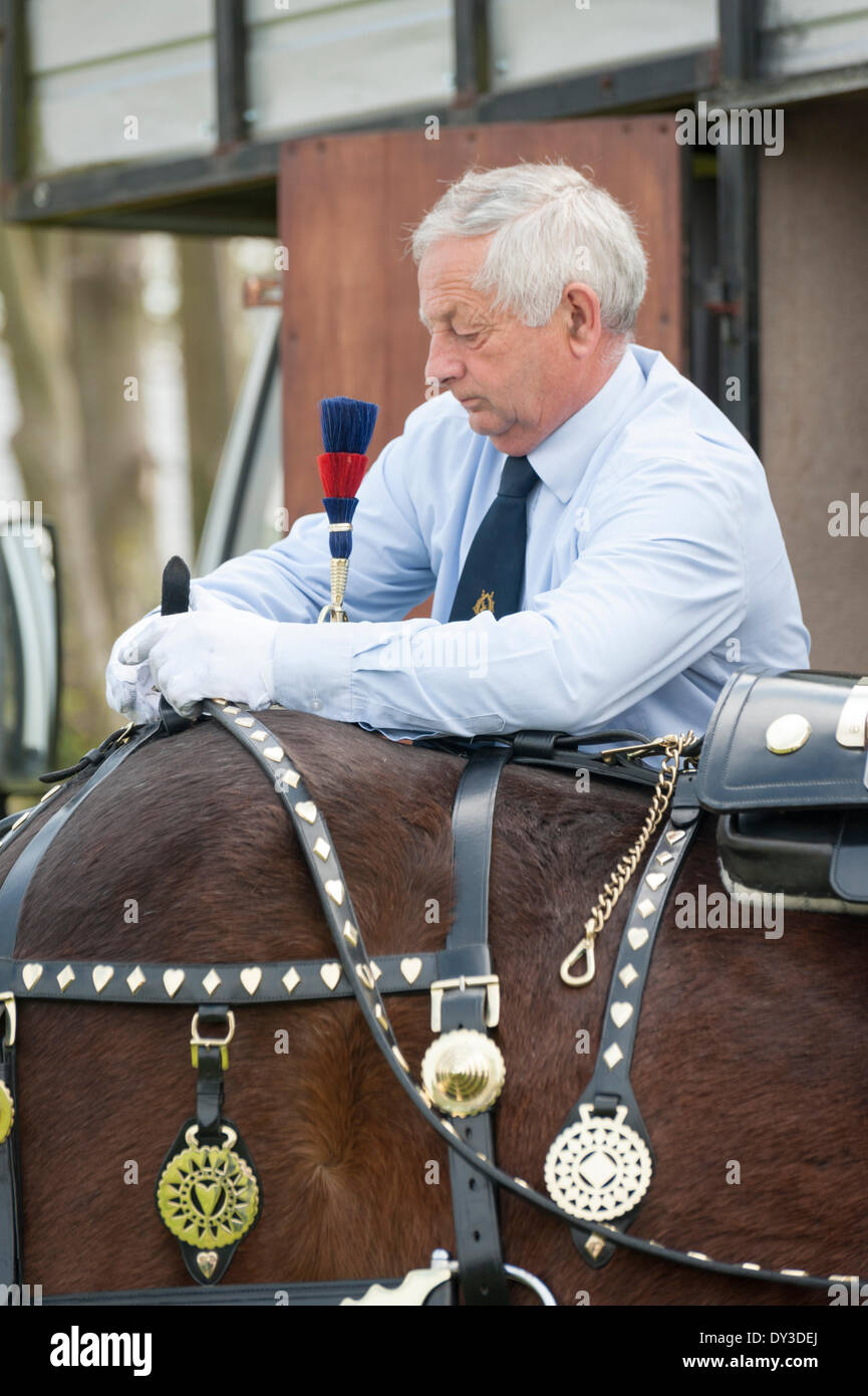 Thriplow, Cambridgeshire, Regno Unito. 5 aprile 2014. Robbie Shire cavallo è preparato per azione come migliaia di persone godono di sole primaverile al Thriplow Daffodil Weekend in Cambridgeshire Regno Unito 5 aprile 2014. Ogni anno tra 7000-10000 persone frequentano il villaggio evento per vedere visualizza dei narcisi, visitando i residenti giardini aperti, craft fienili, chioschi, Morris dancing, paese dimostrazioni di artigianato, pesanti cavalli e fiera del divertimento escursioni. Le strade sono chiuse al traffico consentendo ai visitatori di passeggiare al grazioso villaggio corsie in una celebrazione della primavera. Credito: Julian Eales/Alamy Live News Foto Stock Thriplow, Cambridgeshire, Regno Unito. 5 aprile 2014. Robbie Shire cavallo è preparato per azione come migliaia di persone godono di sole primaverile al Thriplow Daffodil Weekend in Cambridgeshire Regno Unito 5 aprile 2014. Ogni anno tra 7000-10000 persone frequentano il villaggio evento per vedere visualizza dei narcisi, visitando i residenti giardini aperti, craft fienili, chioschi, Morris dancing, paese dimostrazioni di artigianato, pesanti cavalli e fiera del divertimento escursioni. Le strade sono chiuse al traffico consentendo ai visitatori di passeggiare al grazioso villaggio corsie in una celebrazione della primavera. Credito: Julian Eales/Alamy Live News Foto Stock