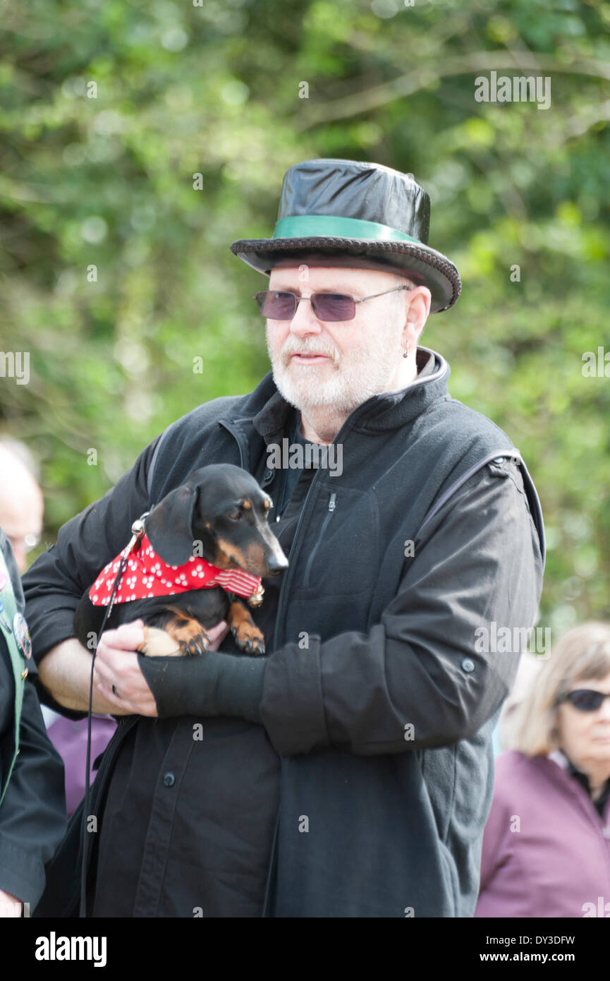 Thriplow, Cambridgeshire, Regno Unito. 5 aprile 2014. Un uomo e il suo cane guarda una Morris Dance display come migliaia di persone godono di sole primaverile al Thriplow Daffodil Weekend in Cambridgeshire Regno Unito 5 aprile 2014. Ogni anno tra 7000-10000 persone frequentano il villaggio evento per vedere visualizza dei narcisi, visitando i residenti giardini aperti, craft fienili, chioschi, Morris dancing, paese dimostrazioni di artigianato, pesanti cavalli e fiera del divertimento escursioni. Le strade sono chiuse al traffico consentendo ai visitatori di passeggiare al grazioso villaggio corsie in una celebrazione della primavera. Credito: Julian Eales/Alamy Live News Foto Stock Thriplow, Cambridgeshire, Regno Unito. 5 aprile 2014. Un uomo e il suo cane guarda una Morris Dance display come migliaia di persone godono di sole primaverile al Thriplow Daffodil Weekend in Cambridgeshire Regno Unito 5 aprile 2014. Ogni anno tra 7000-10000 persone frequentano il villaggio evento per vedere visualizza dei narcisi, visitando i residenti giardini aperti, craft fienili, chioschi, Morris dancing, paese dimostrazioni di artigianato, pesanti cavalli e fiera del divertimento escursioni. Le strade sono chiuse al traffico consentendo ai visitatori di passeggiare al grazioso villaggio corsie in una celebrazione della primavera. Credito: Julian Eales/Alamy Live News Foto Stock