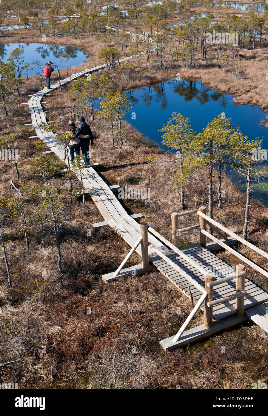 I visitatori in Kemeri sollevato Bog Kemeri Parco Nazionale della Lettonia Foto Stock