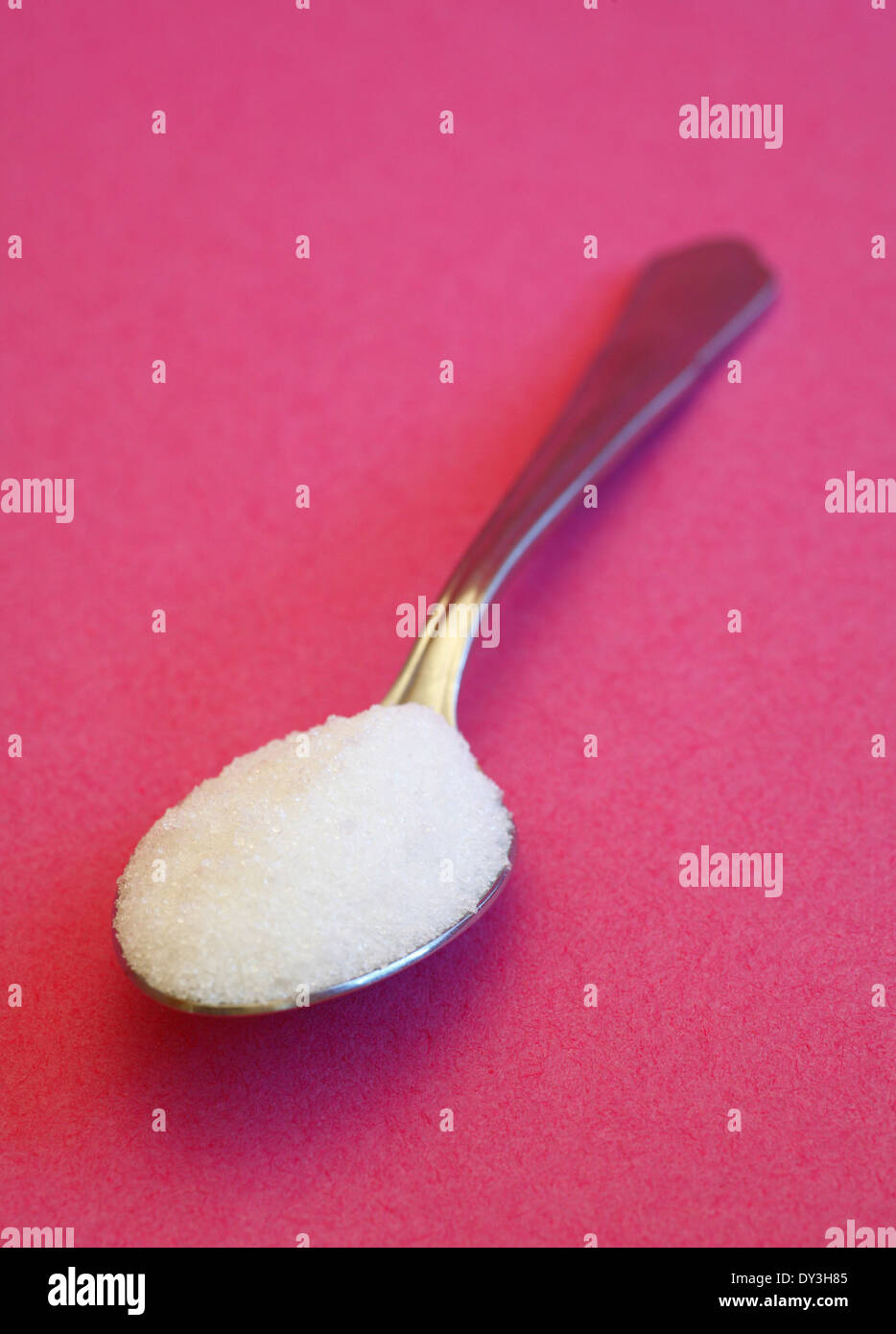 Un cucchiaio di zucchero su una rosa di massa. Foto Stock