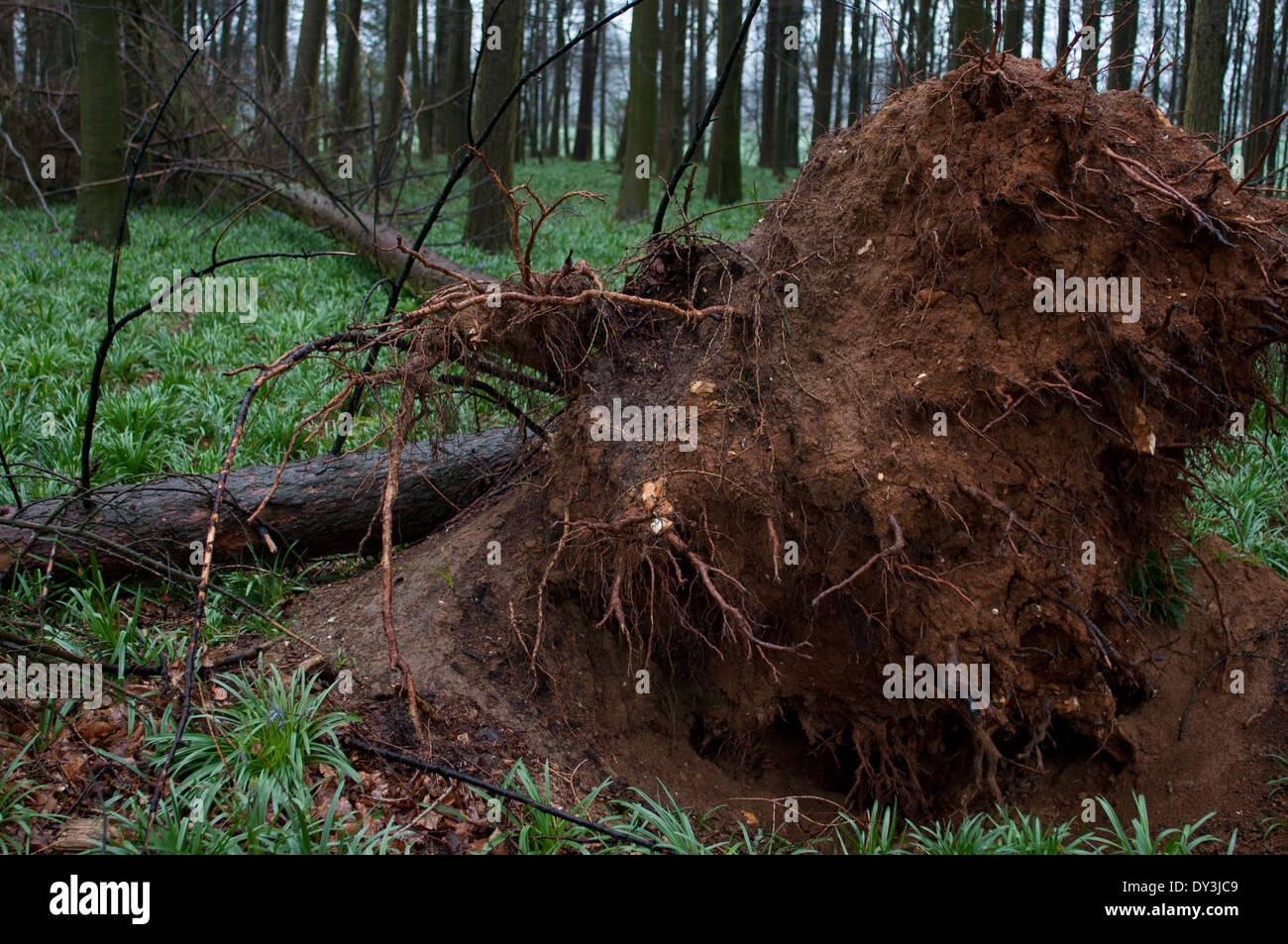 Luoghi di interesse turistico della campagna Foto Stock