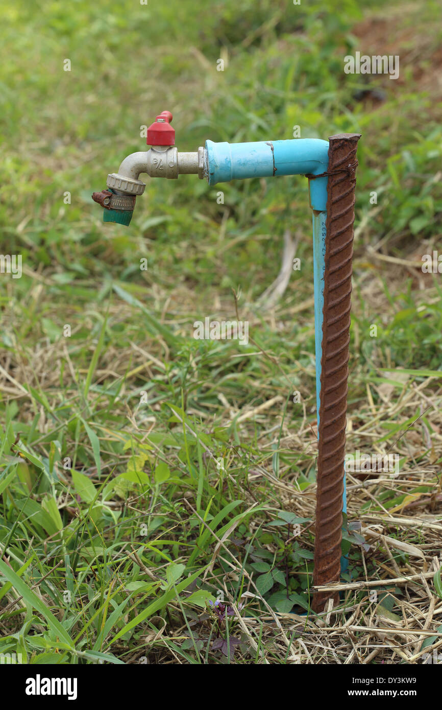 Rubinetto di acqua con lo sfondo di erba Foto Stock