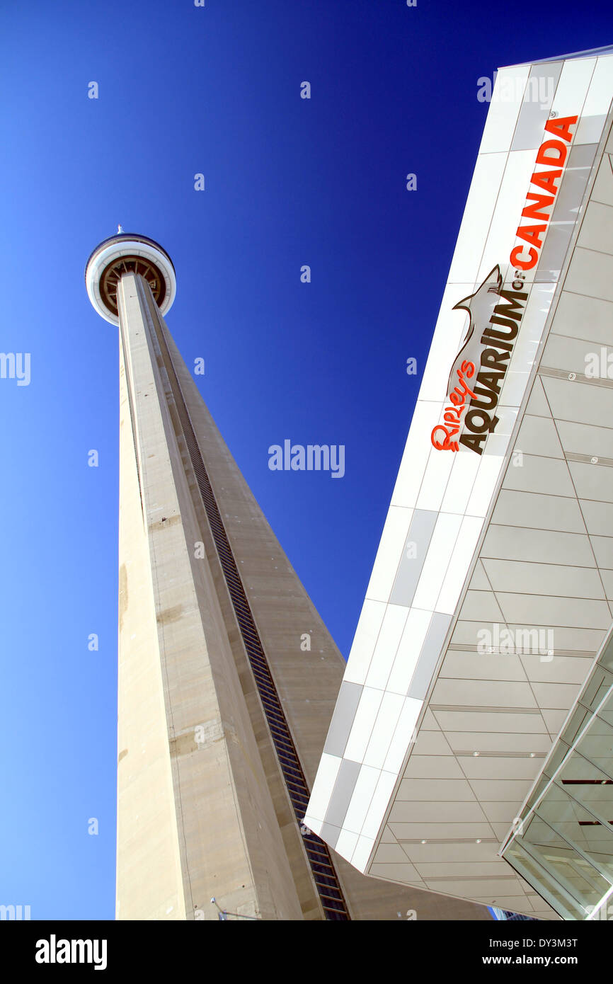 La CN Tower e Ripley's acquario del Canada a Toronto in Canada Foto Stock