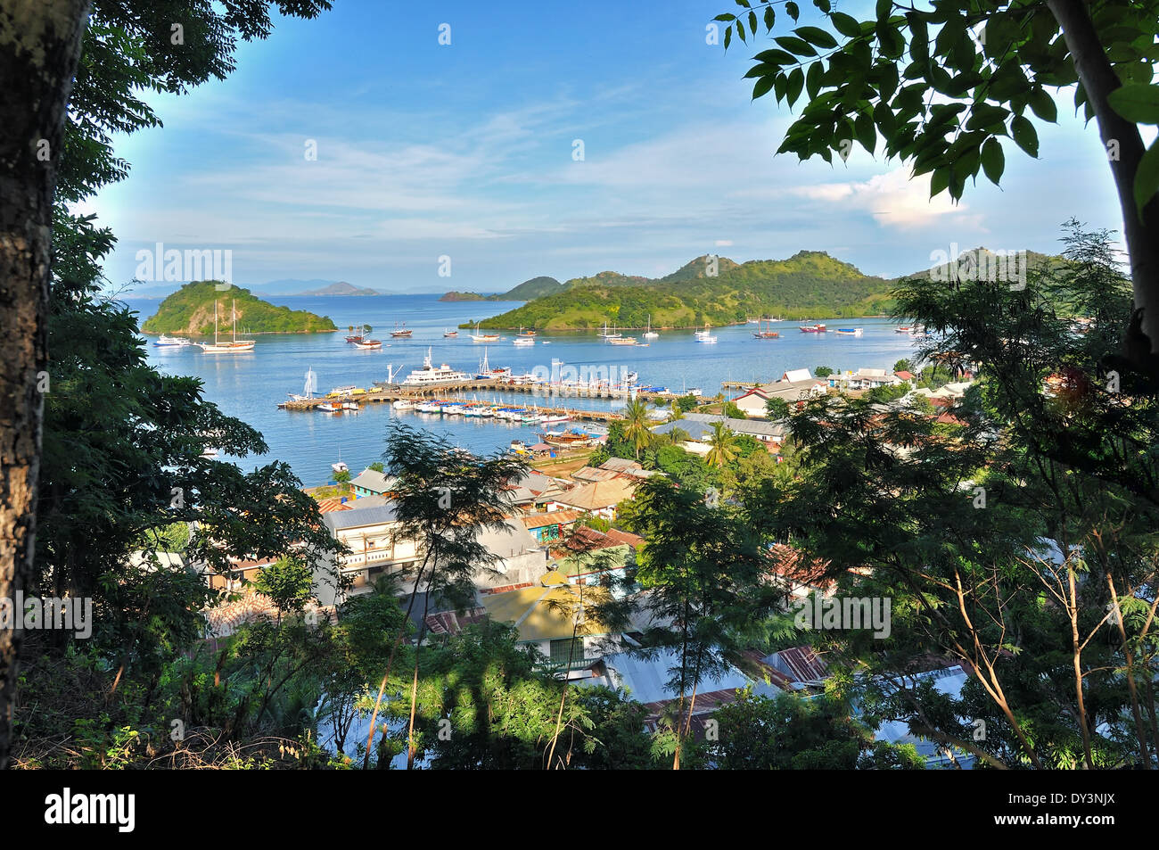 Parco Nazionale di Komodo strutture Foto Stock