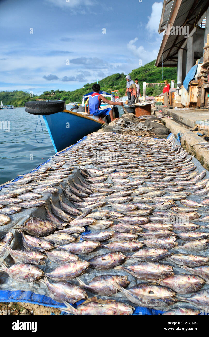 Mercato del Pesce, Labuan Bajo Foto Stock