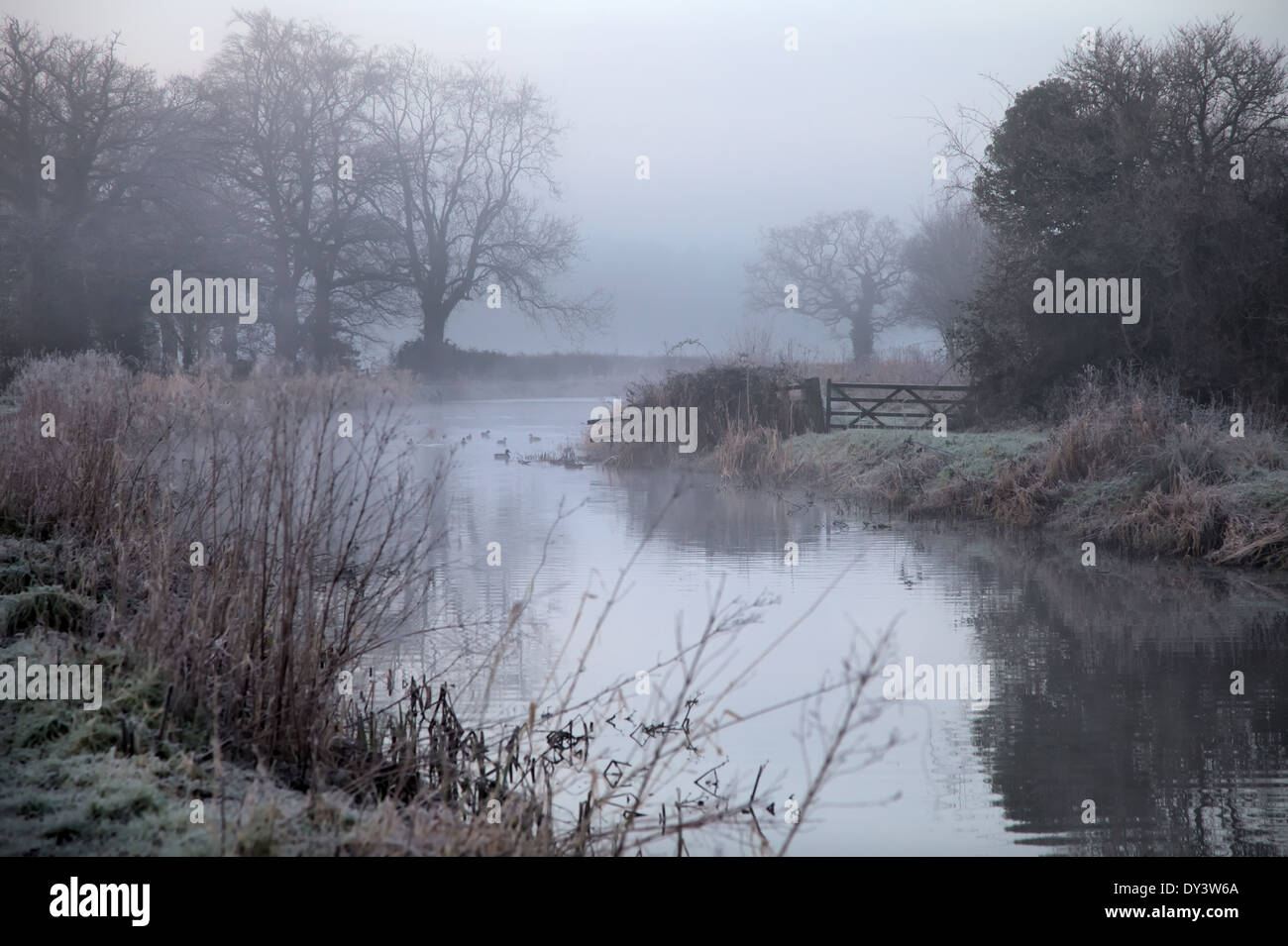 Un gelido gennaio mattina presto sul Grand Canal Occidentali, Burlescombe, Devon Foto Stock