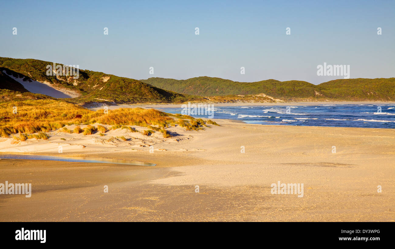 Nel tardo pomeriggio a Incudine Beach, vicino alla città di Danimarca in Western Australia. Foto Stock