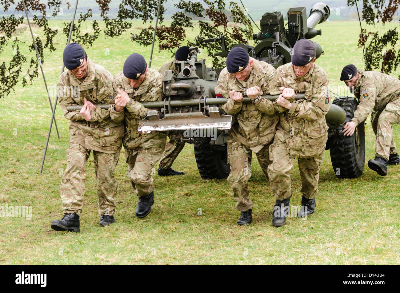 I soldati della Royal Artillery ceppo per tirare un 105mm luce pistola di Artiglieria Foto Stock