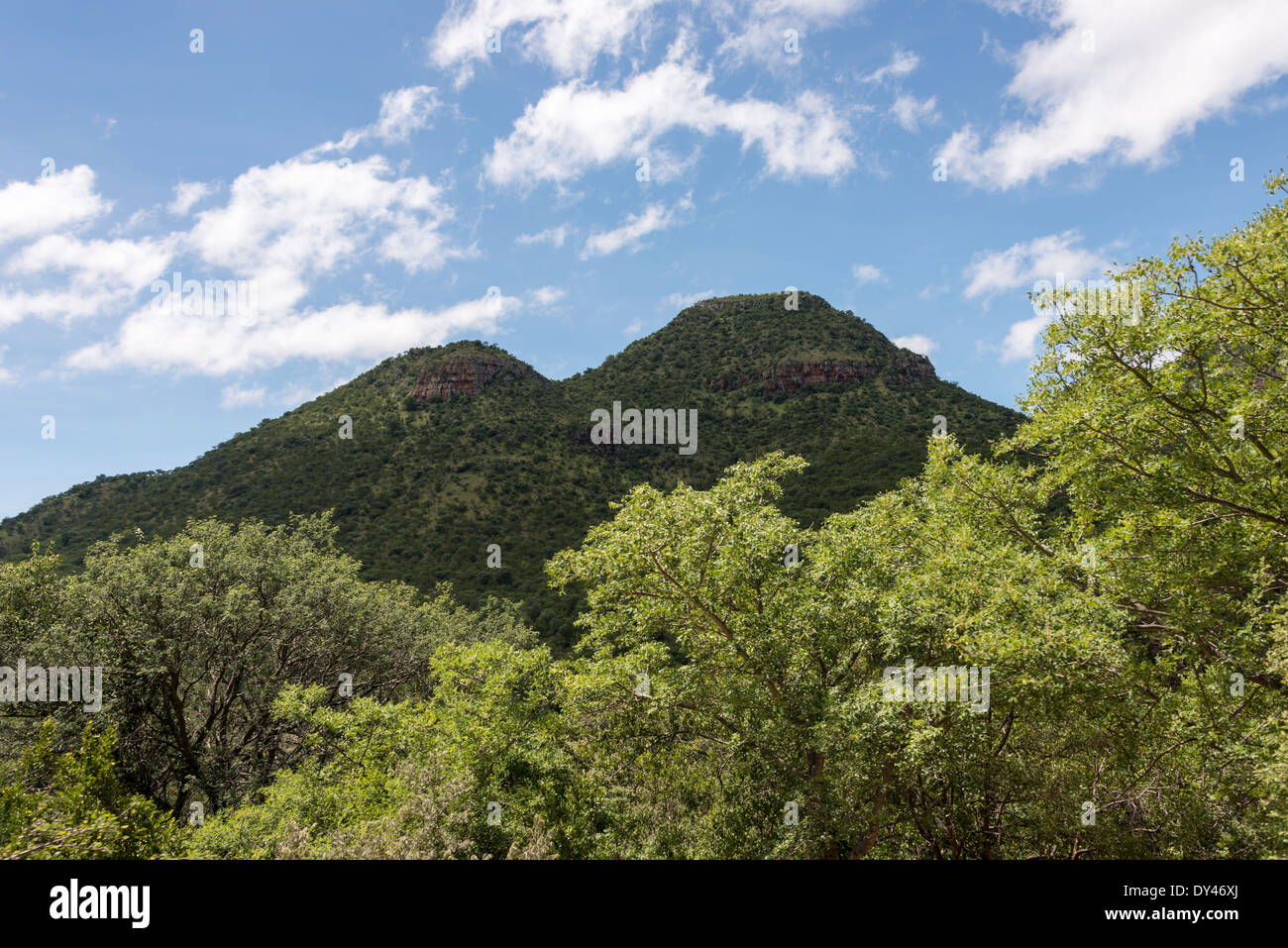 Drakensberg in Sud Africa nei pressi di hoedspruit con le nubi del cielo Foto Stock