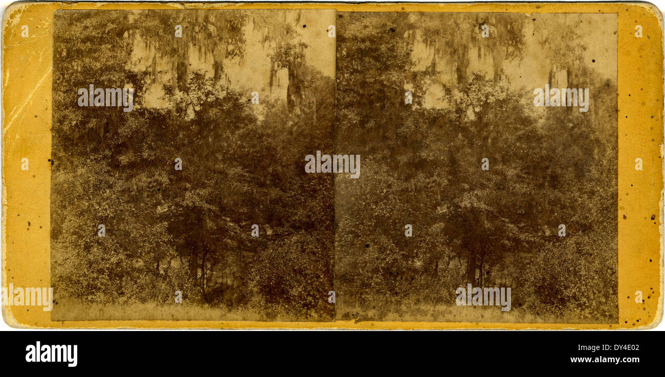 Una vivace scena a Brookhaven, Mississippi, che cattura le attività quotidiane di residenti e visitatori. La fotografia riflette la vibrante atmosfera di una piccola città del sud durante una giornata intensa, con auto, pedoni e aziende locali visibili sullo sfondo. Foto Stock