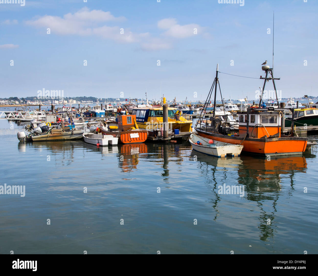 Barche nel porto di Poole Dorset England Regno Unito Europa Foto Stock