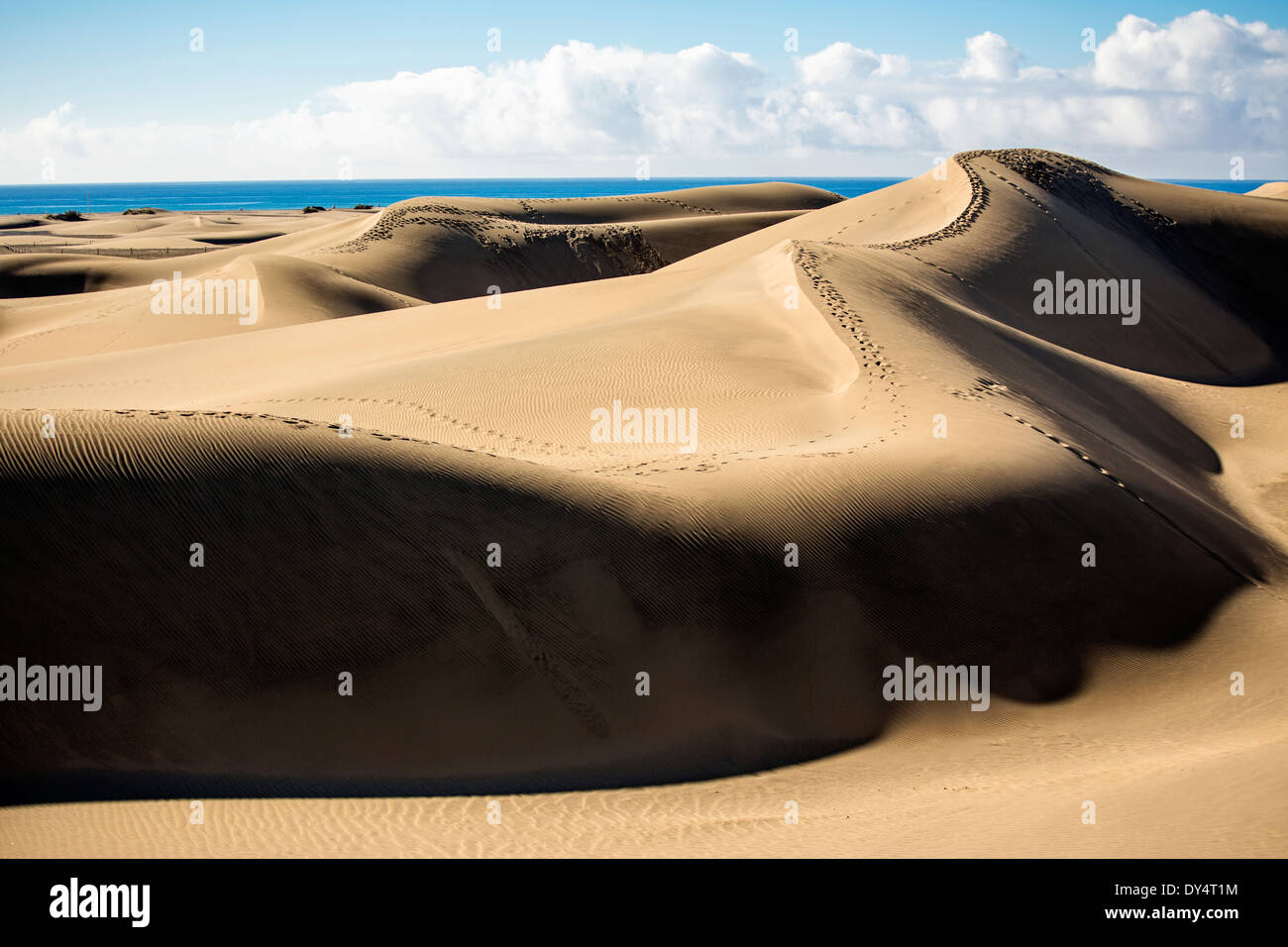 Dune di Maspalomas, Gran Canaria Isole Canarie Foto Stock