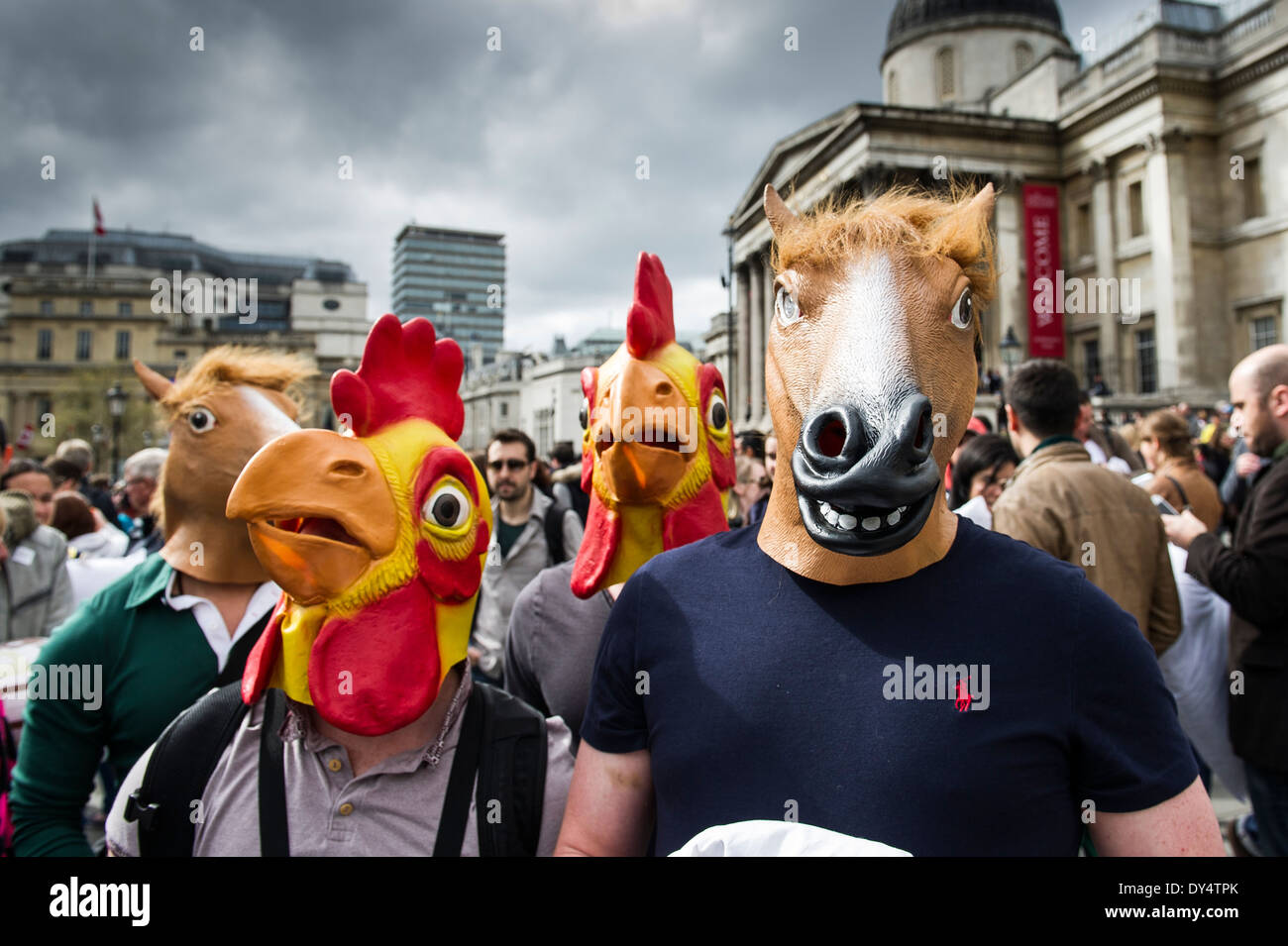 Raduno di persone in Trafalgar Square a partecipare al cuscino internazionale lotta giorno. Foto Stock